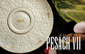 A Taste of Pesach Cookbook 7